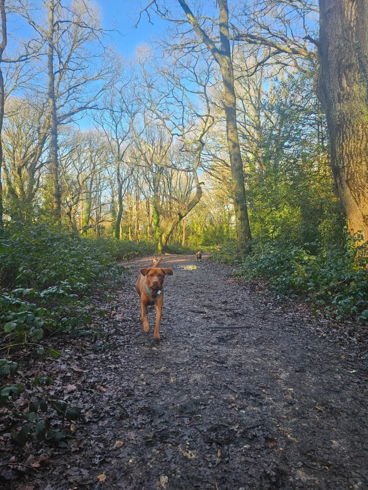 1 Hour Walk