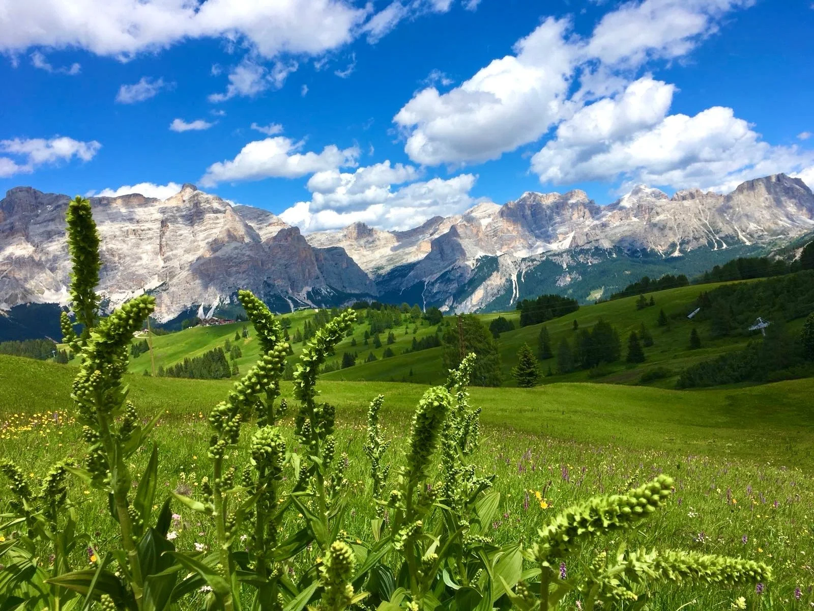 Dolomites