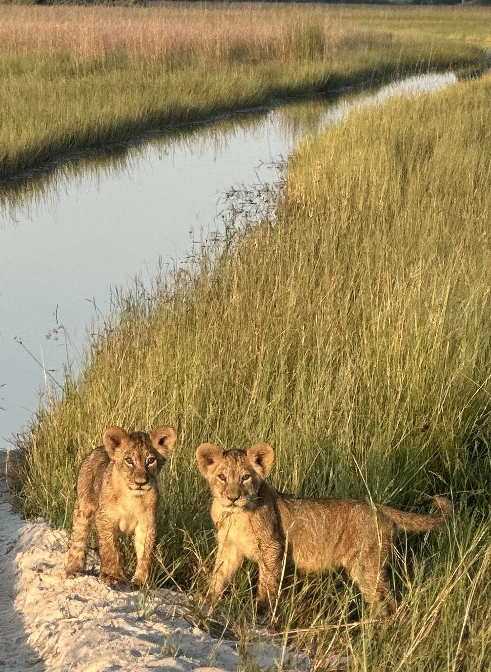 Botswana