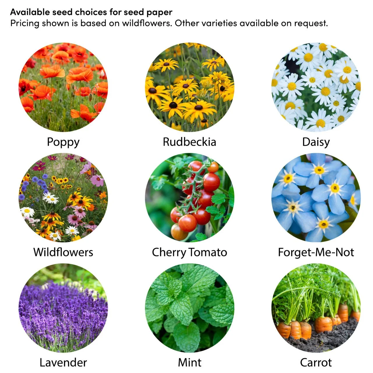 Seed-Paper-Seed-Options-1280x1280 (3).jpg