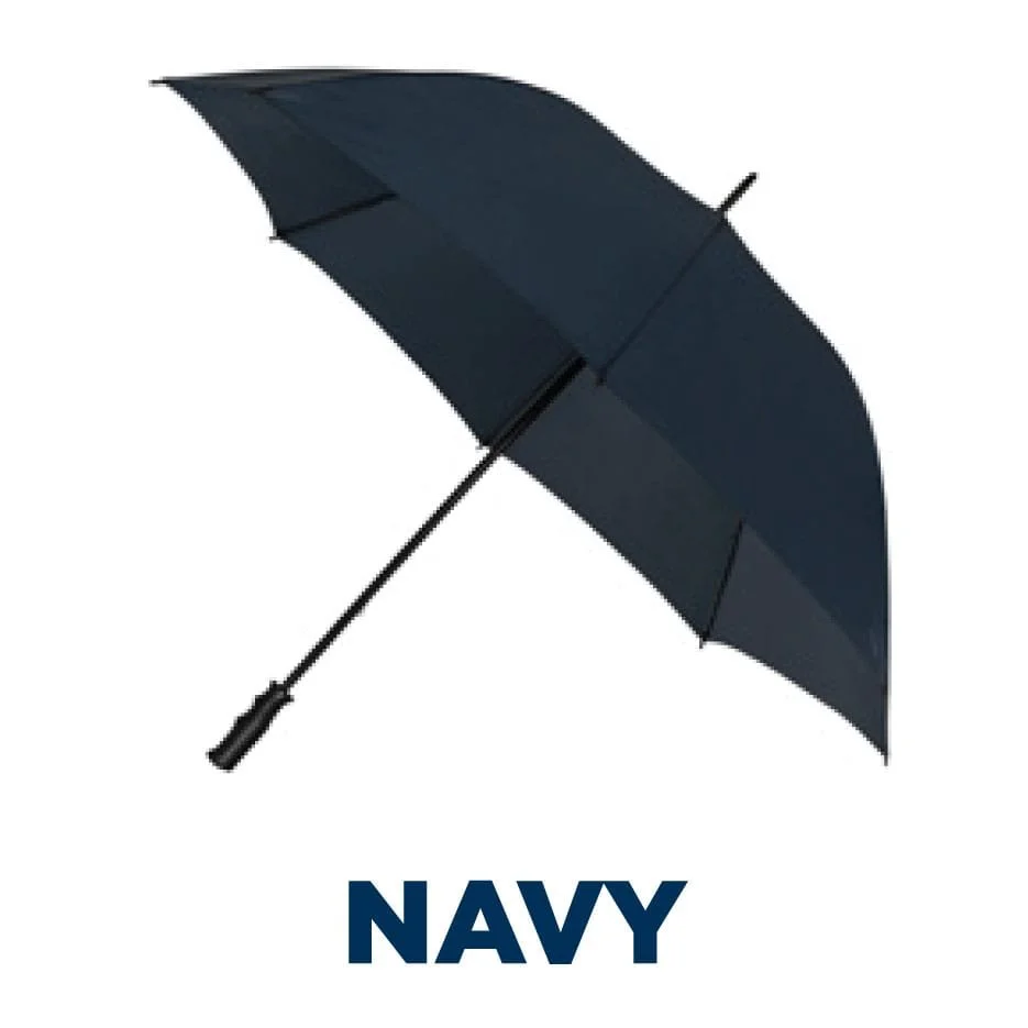 1VSG_navy.jpg