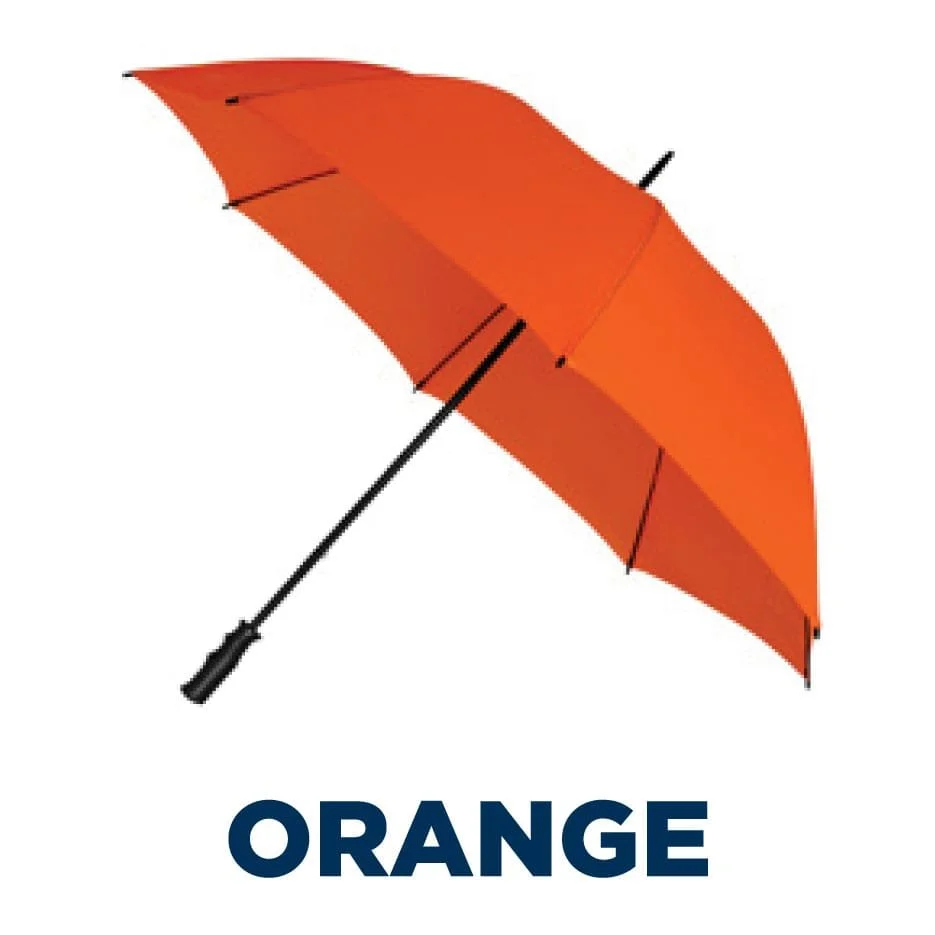 1VSG_orange.jpg