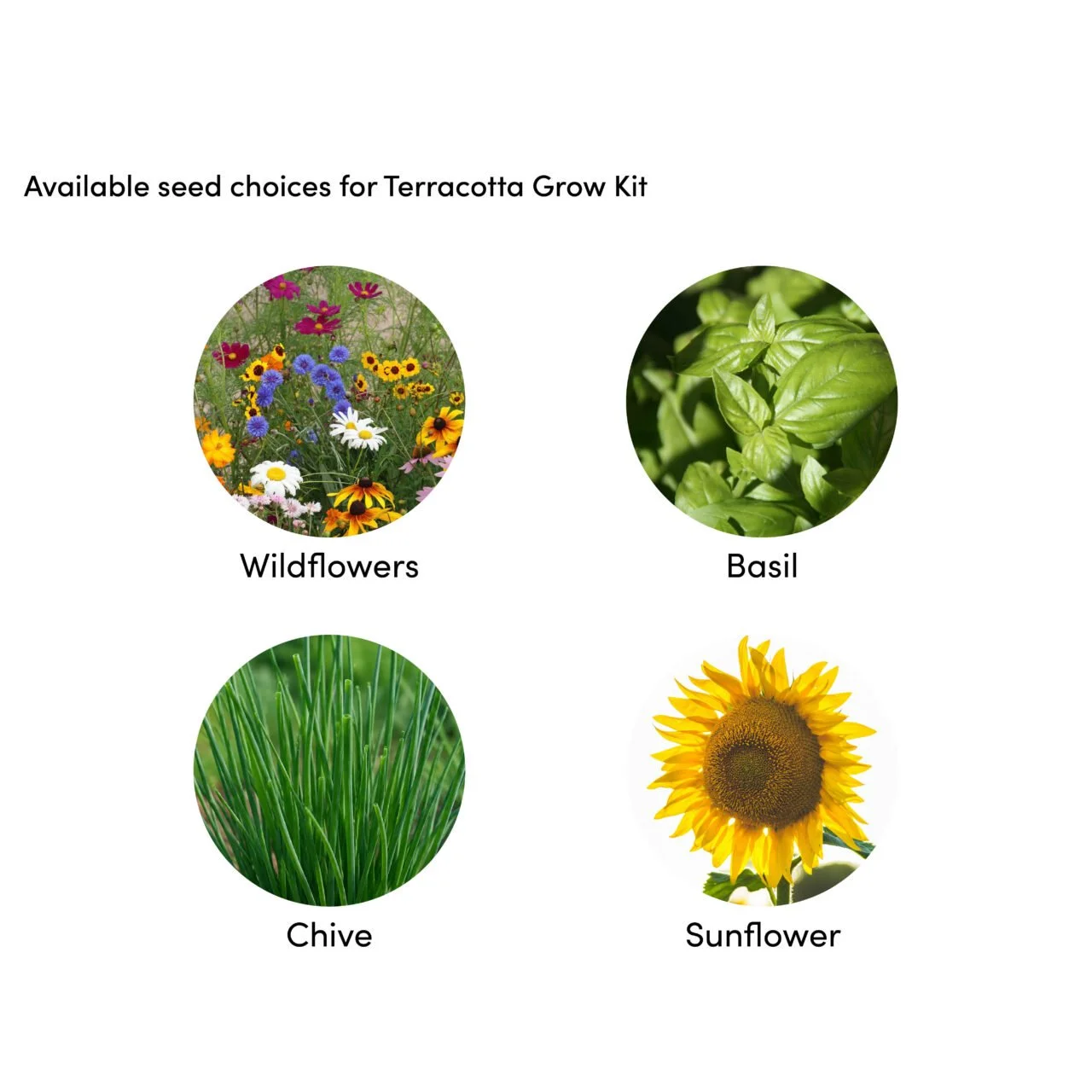 Terracotta Grow Kit