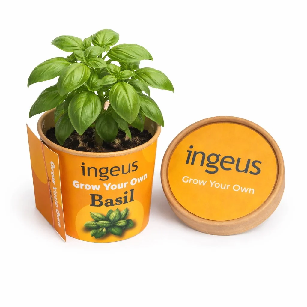 Desktop Herb Garden – Basil,Herb,Chives