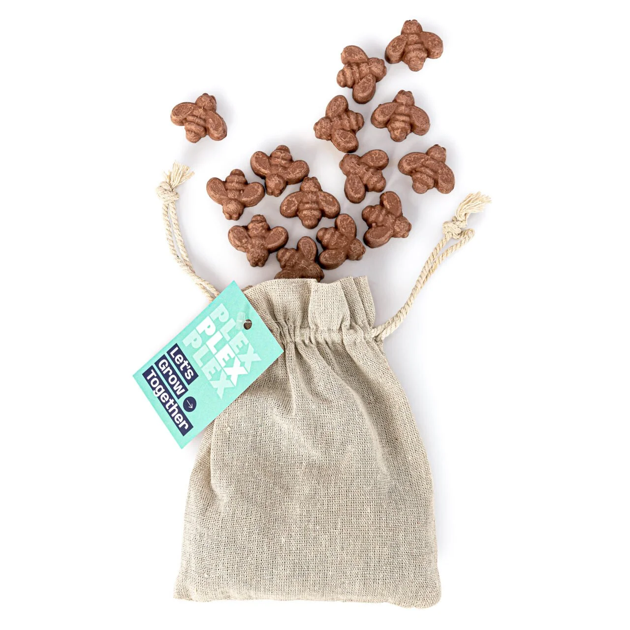 Bee-Shaped Seed Bomb Bag