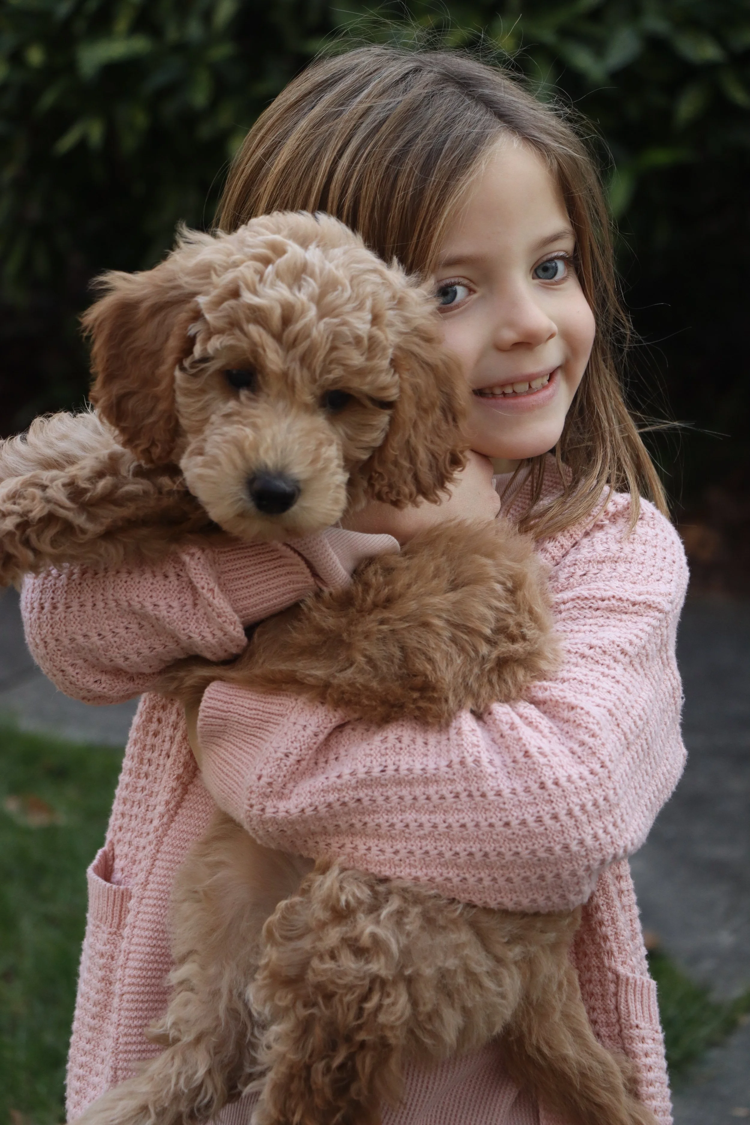 A young girl with light brown hair and blue eyes holding a fluffy golden puppy outside in front of greenery.