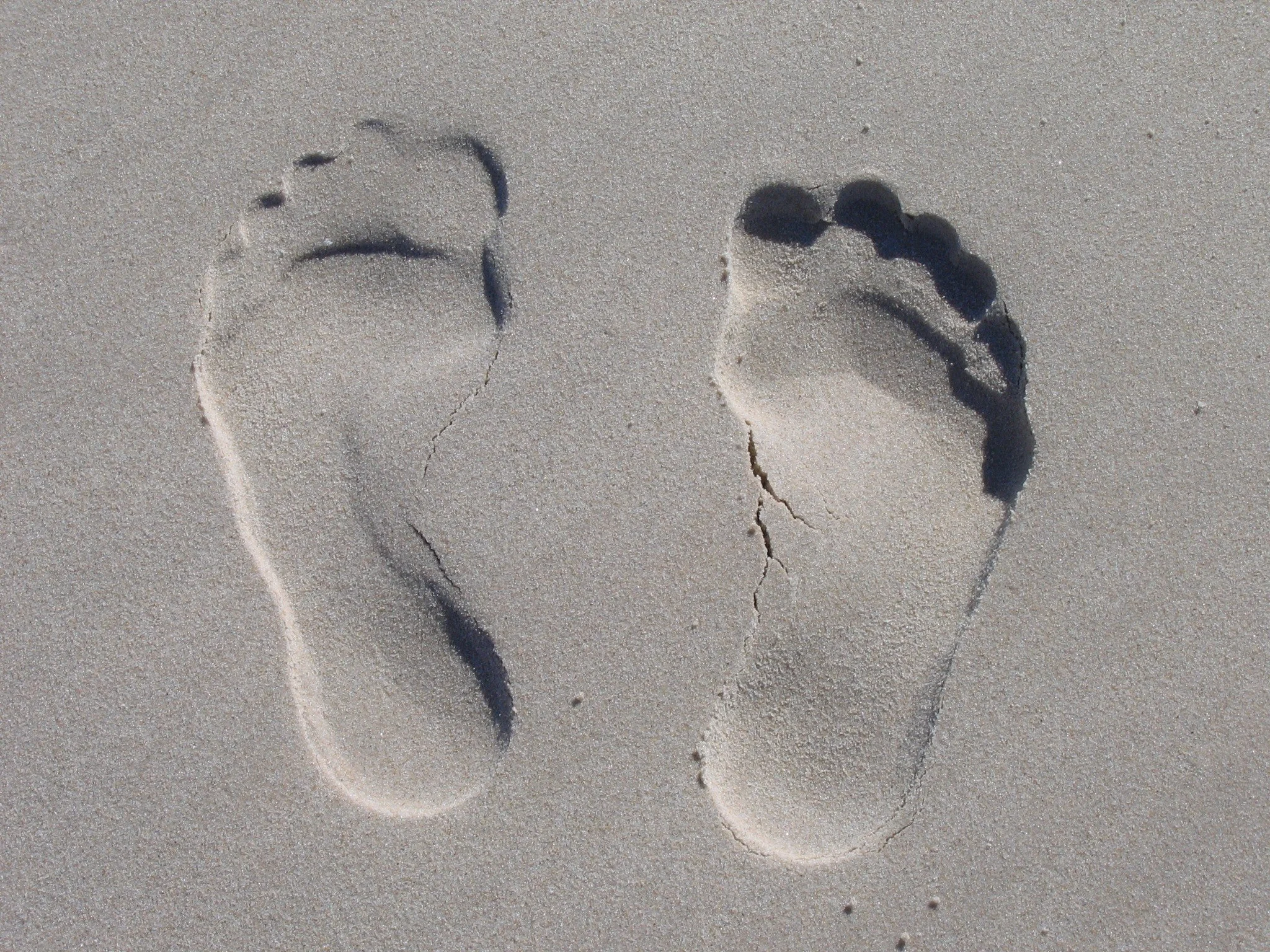 Common Mistakes That Increase Your Carbon Footprint And How To Avoid Them