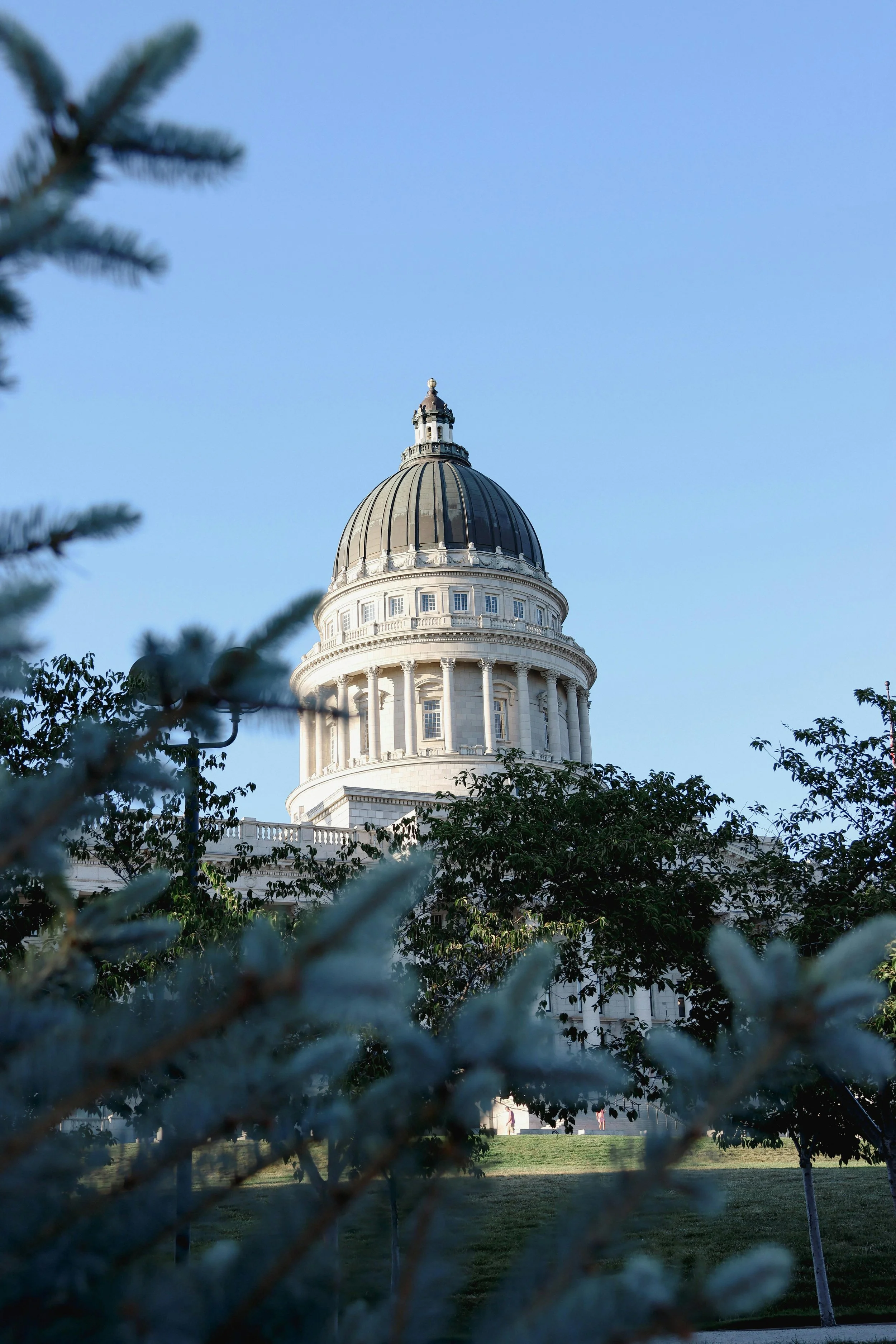 7 Government Services That Are Best Suited for Digital Implementation