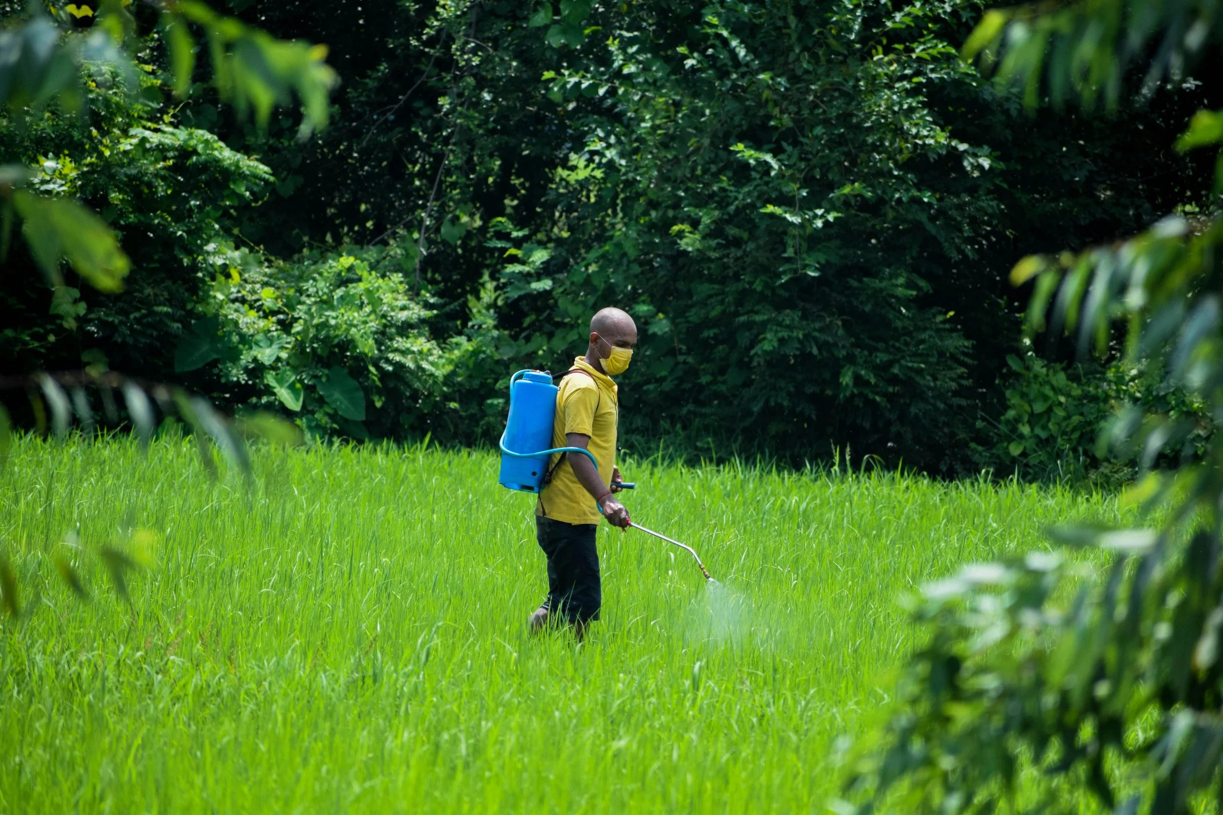 A Groundbreaking Research Questions Glyphosate Safety for Gut Microbiota