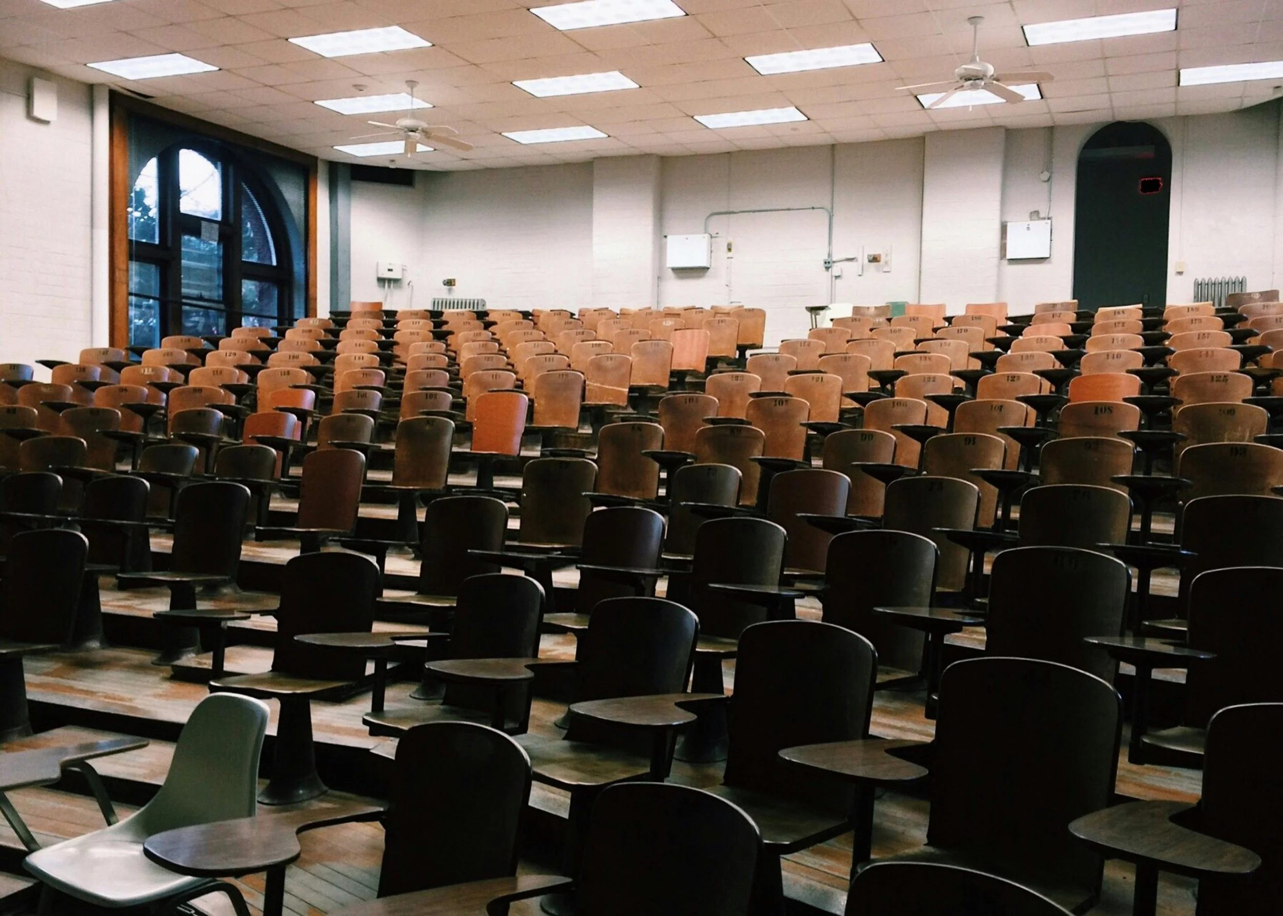 How Startup Founders Can Leverage Business Education for Growth
