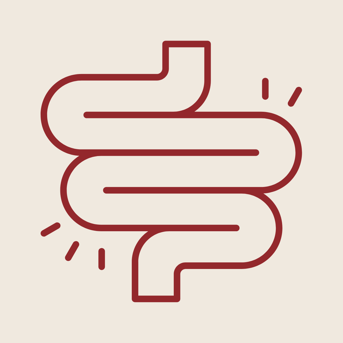 Simple line drawing of a human colon or large intestine in red on a light background, with small lines near it indicating importance or emphasis.