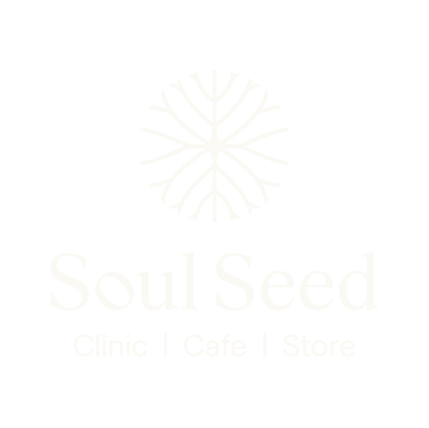 Soul Seed | Wellness Clinic | Cafe | Store