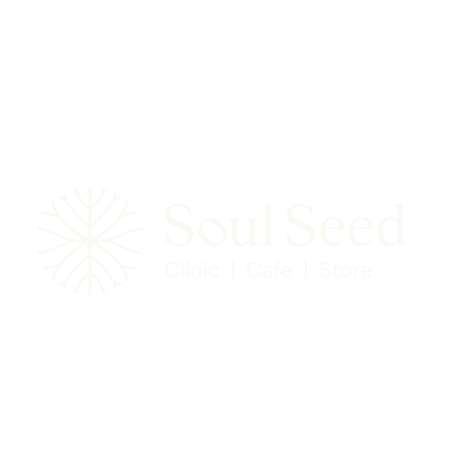 Soul Seed | Wellness Clinic | Cafe | Store