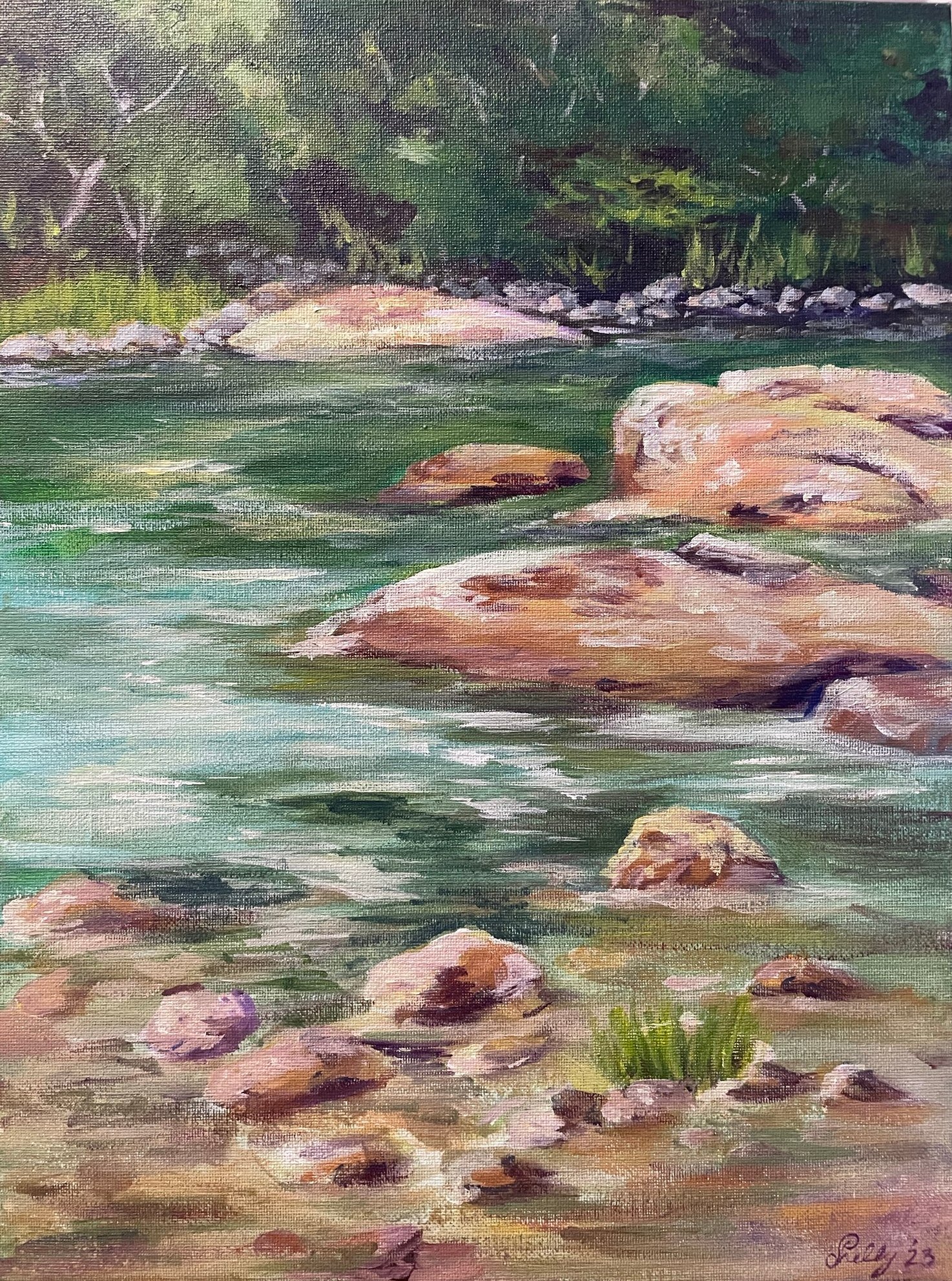 RIVER'S EDGE  |  16x12in  |  acrylic on canvas *