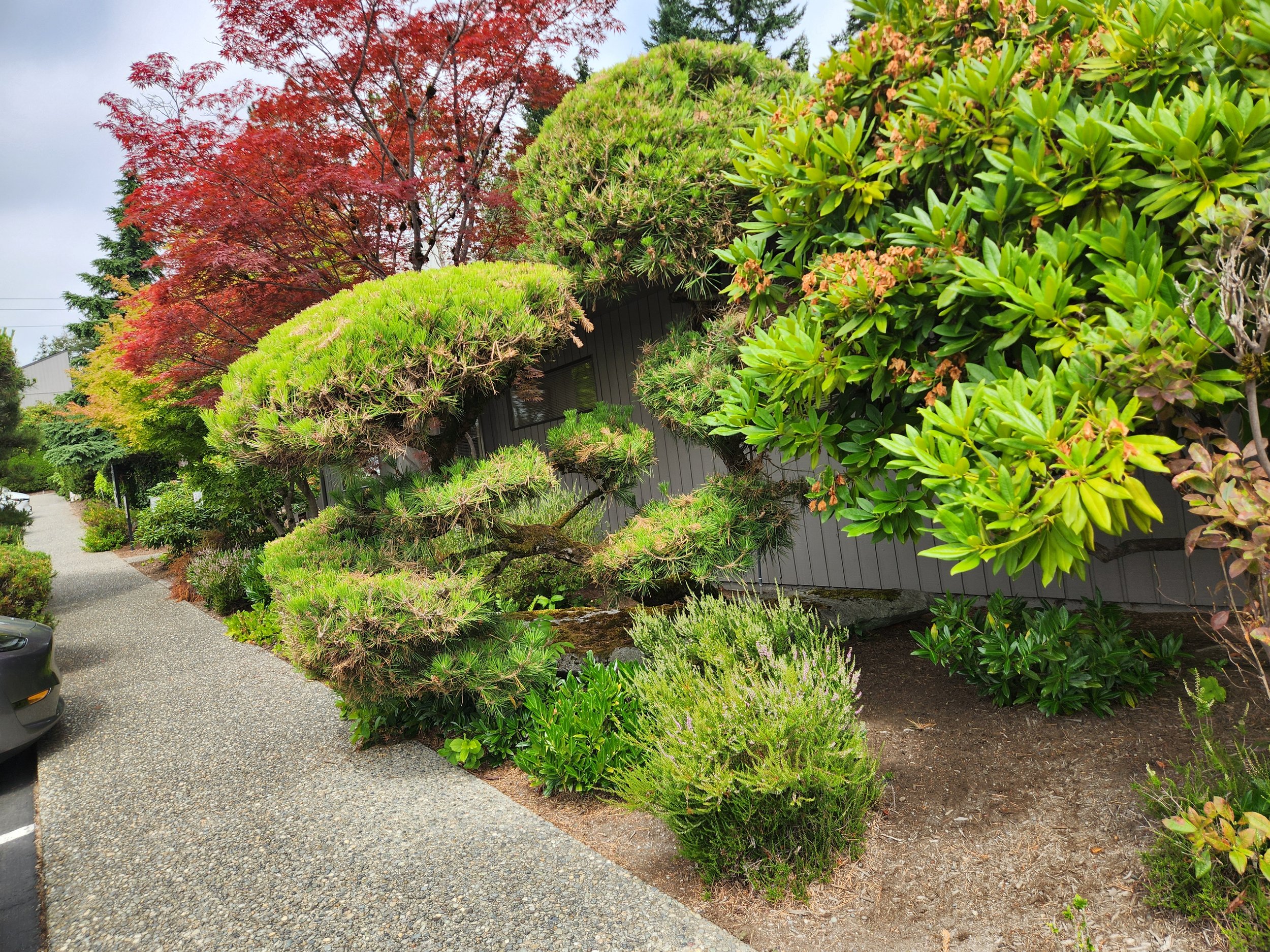 uyeta-commercial-landscape-medical-park-9.jpg