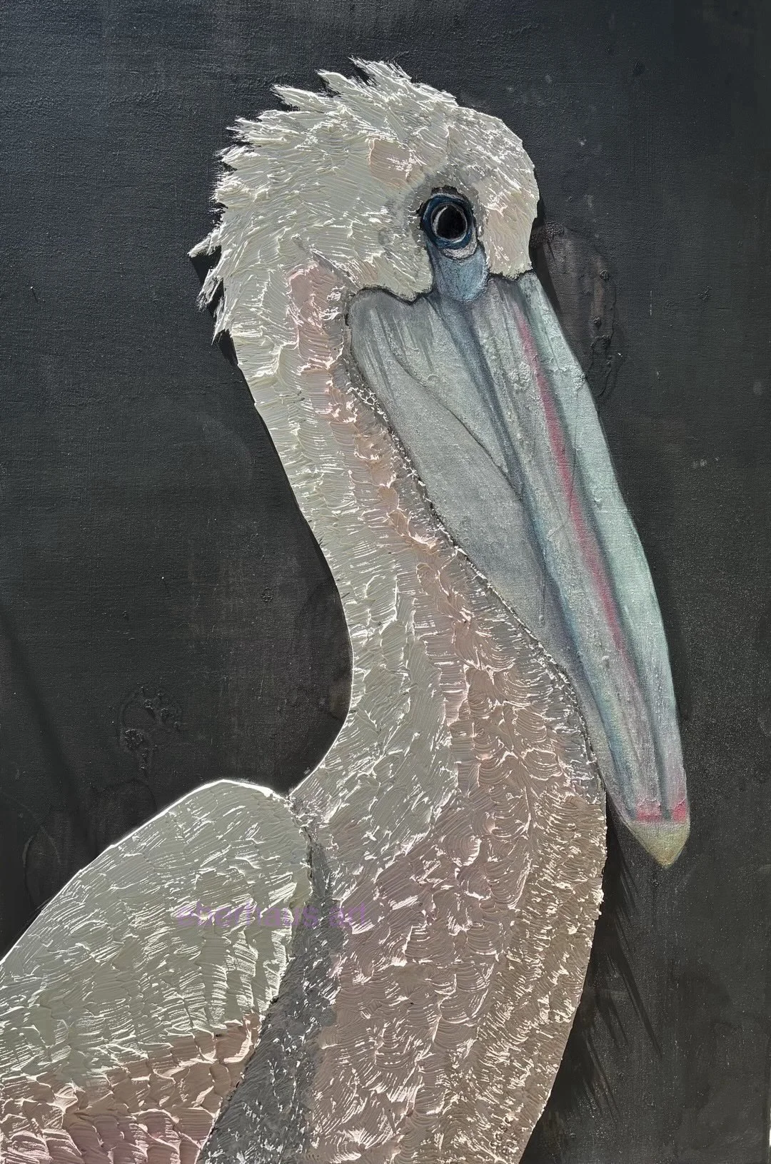 "Plaster in Plumage"