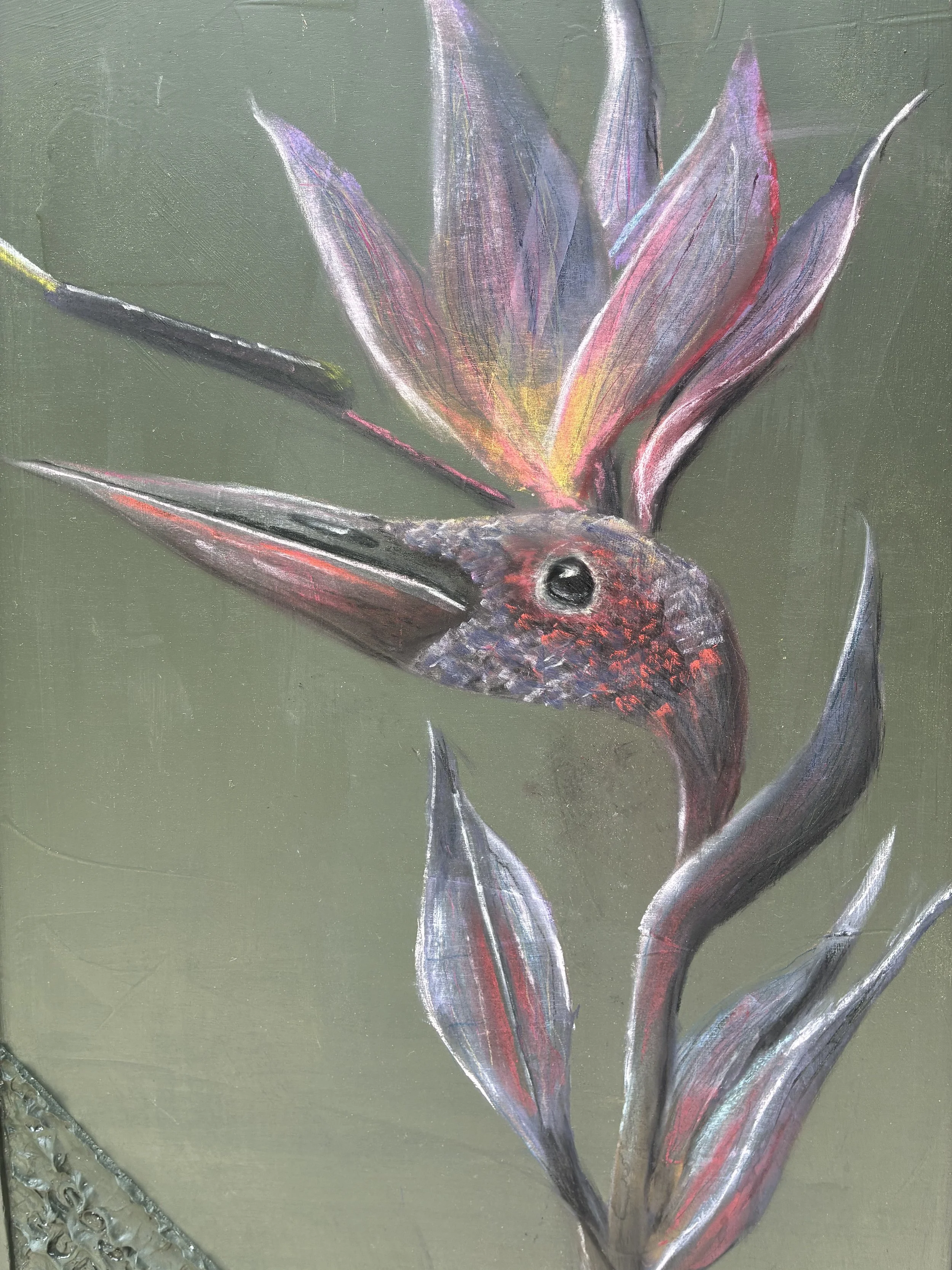 Bird in Paradise close up.jpg