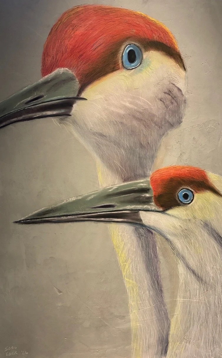 The Redcrest Pair .jpeg