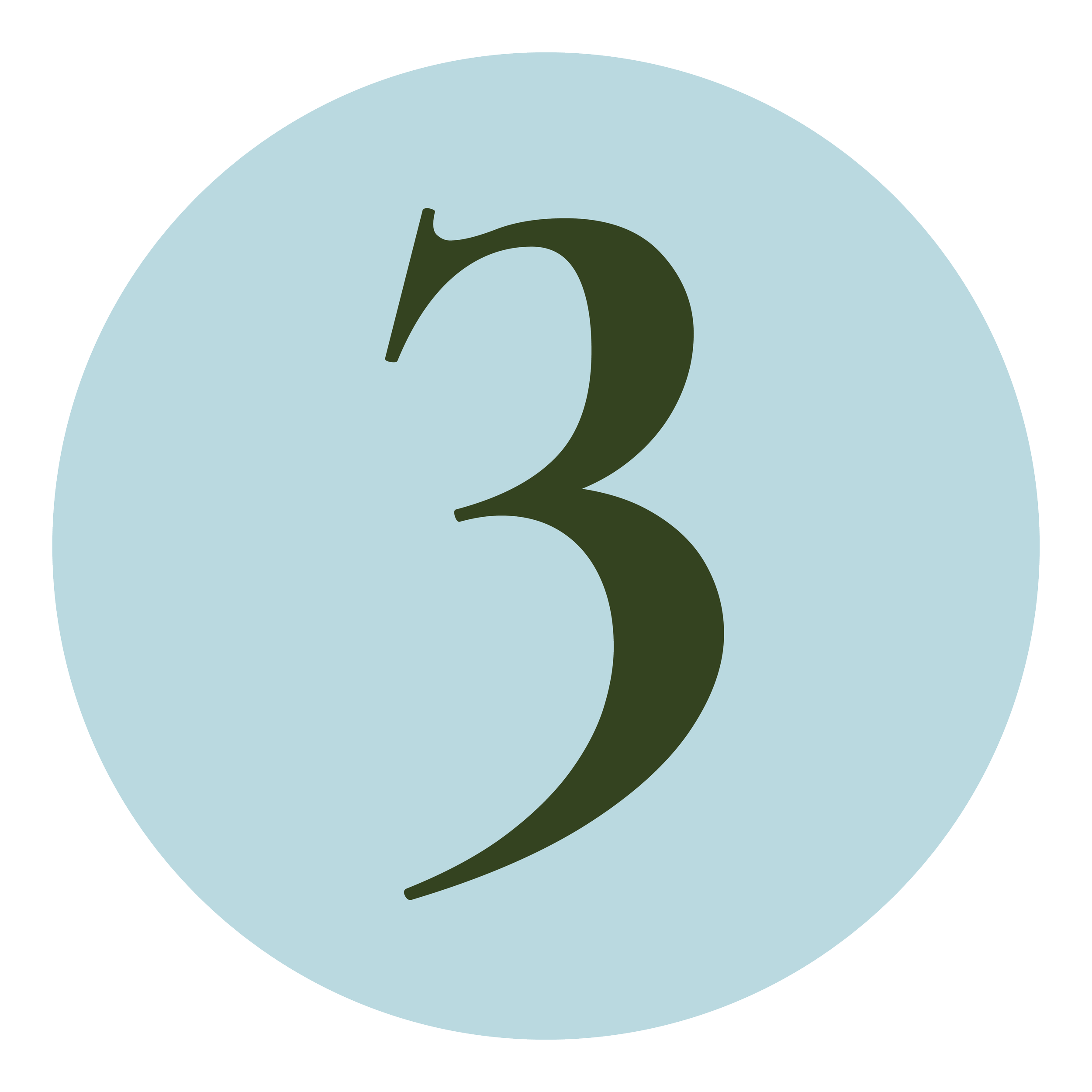 Blue circle with number 3