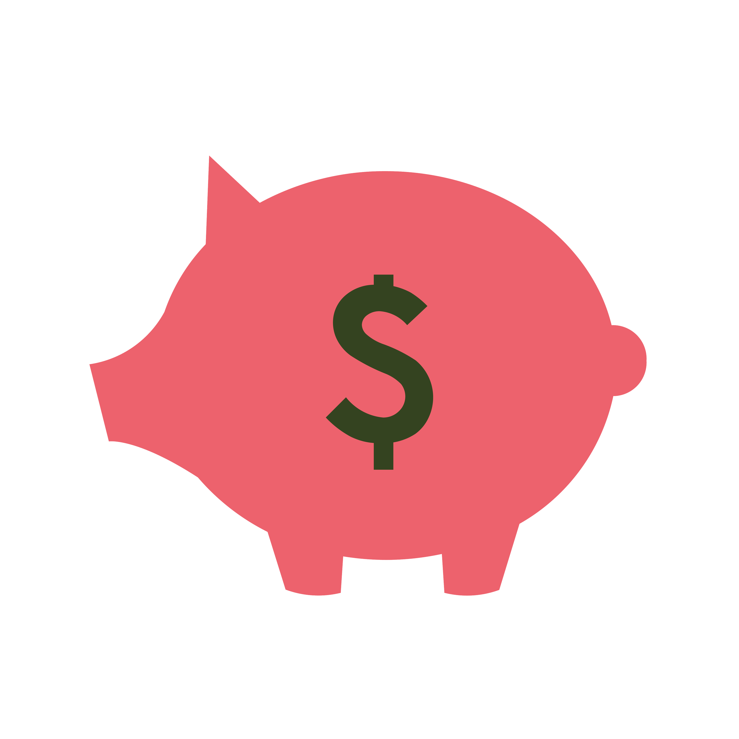 Piggy bank icon in a coral and dark green color