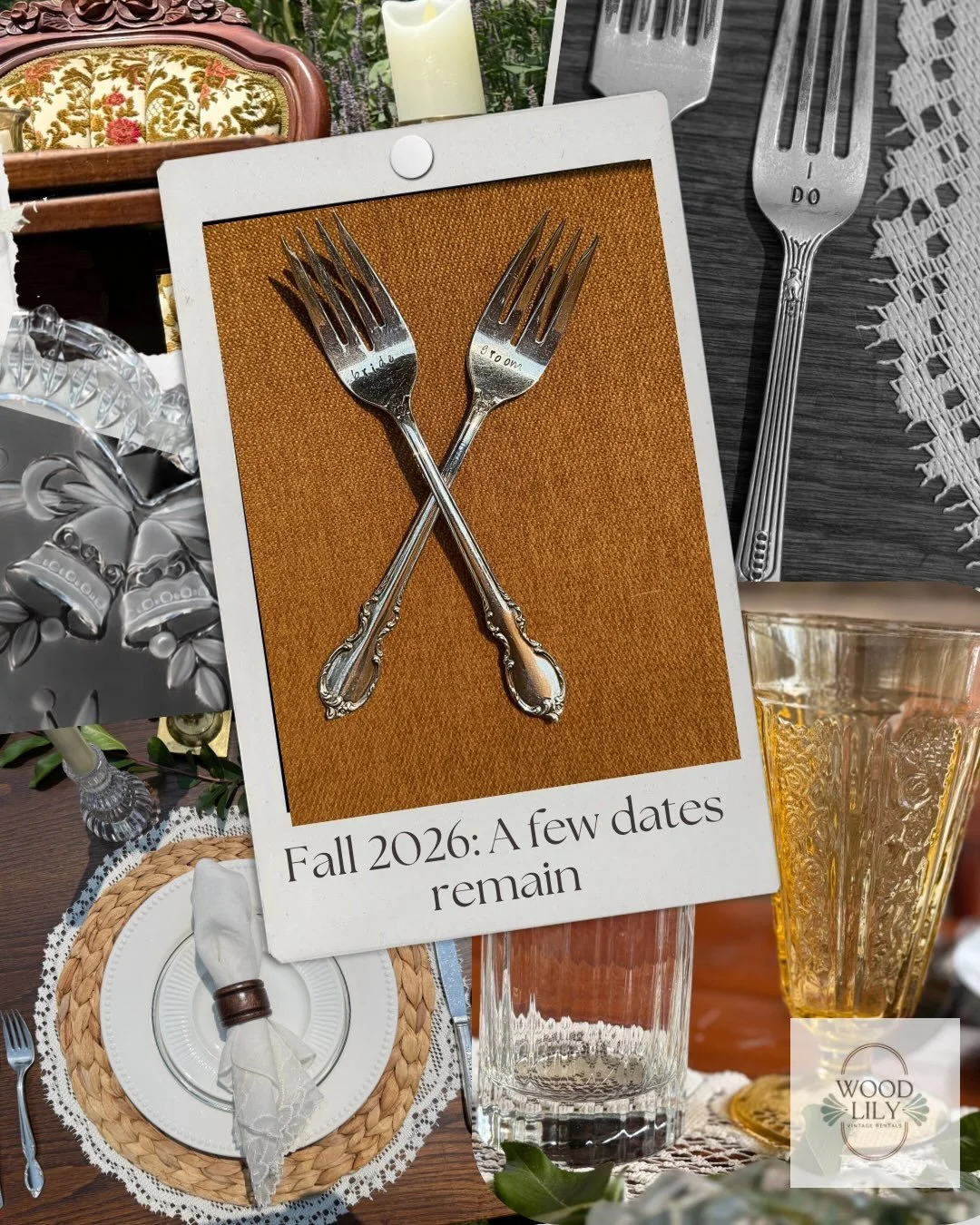 Something old. Something perfect.
Something vintage, made for two.
Better than borrowed. Better than blue.
I do. Me too. Forever.

Fall 2026 dates available across Western North Carolina. Start your wishlist at woodlilyevents.com.

#AshevilleWeddings