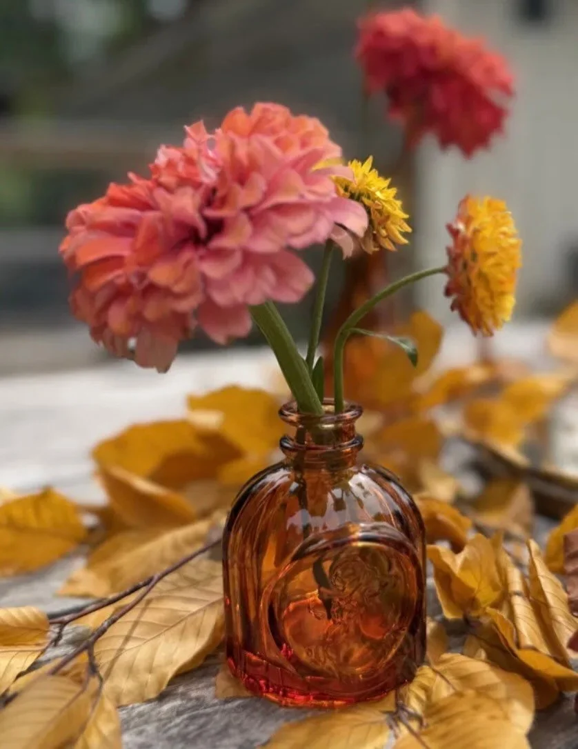 the amber glass finally got its photoshoot and the day was too pretty to keep it simple. mountain muse floral came through with leftover wedding flowers from the day before
