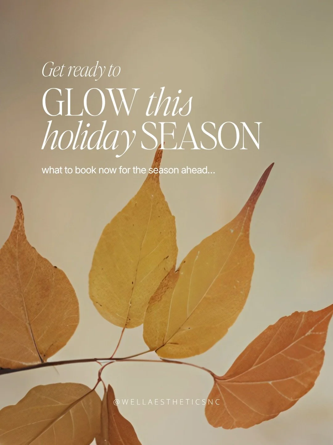 Many of our favorite treatments need a little time, whether that means a series of sessions, collagen building over time, or simply giving your skin time to heal and refresh!

Starting now gives us time to create a treatment plan around your skin, yo