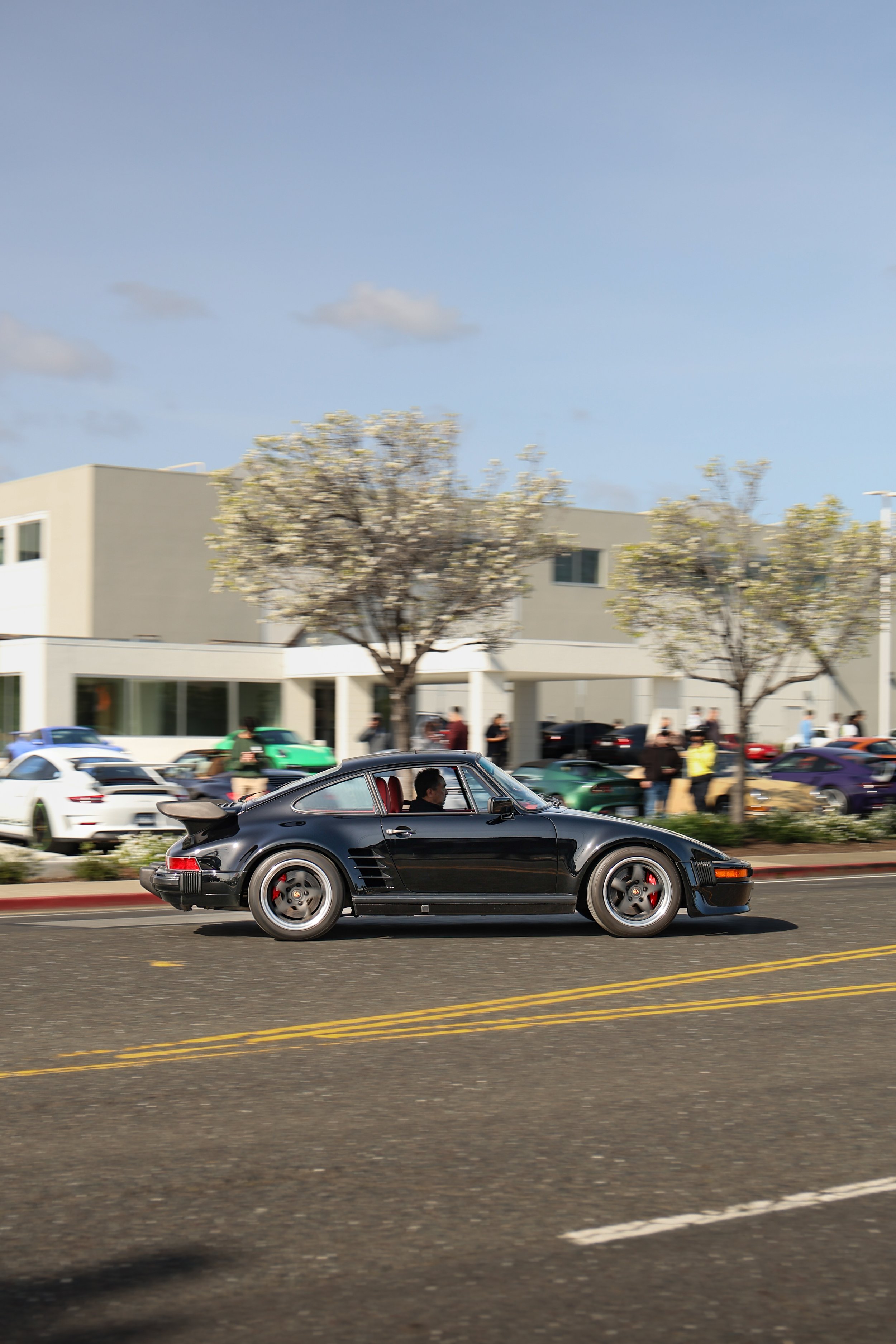 IMG_5962.JPG