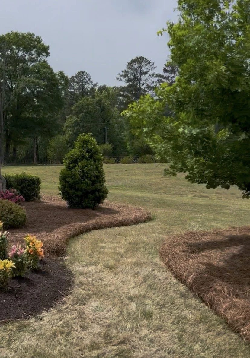 A landscaped yard with a curved grass pathway, flower beds, shrubs, and trees.