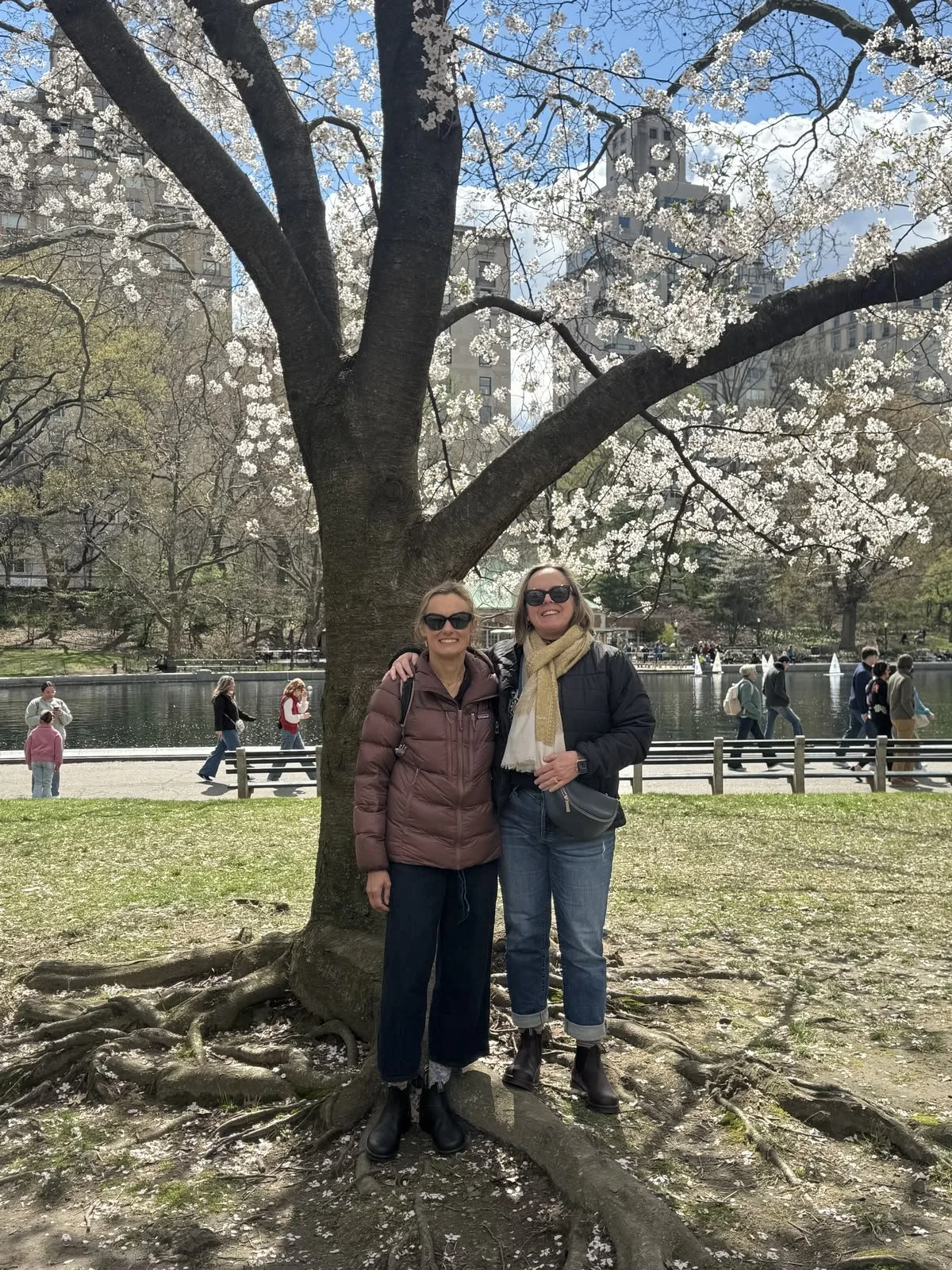 Two women standing under a large blossoming cherry blossom tree in a park, with people walking along a path by a body of water and city buildings in the background.