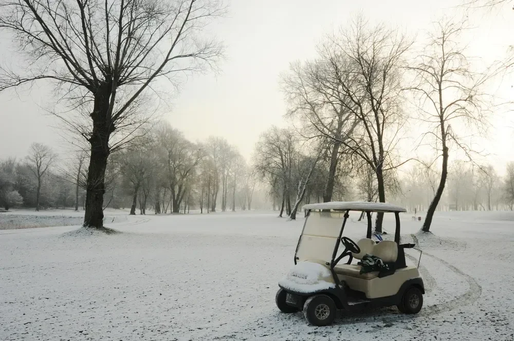 Golf Cart Winterization Guide