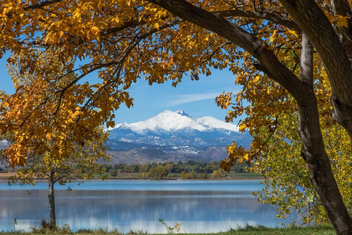 Places You Won't Want to Miss in Peachtree City, GA