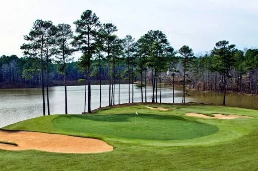 Planterra Ridge vs. Braelinn in Peachtree City, GA