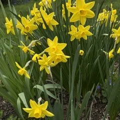 IMG_6763.jpeg
