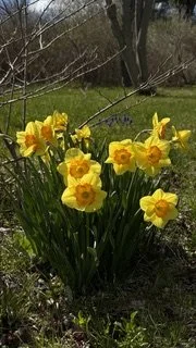 IMG_6726.jpeg