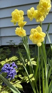 IMG_0250.jpeg