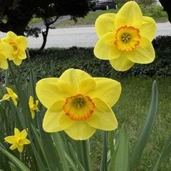IMG_6762.jpeg
