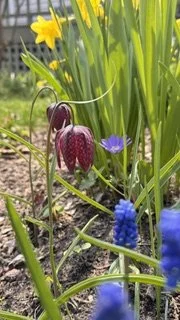 IMG_3622.jpeg