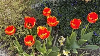 IMG_3689.jpeg