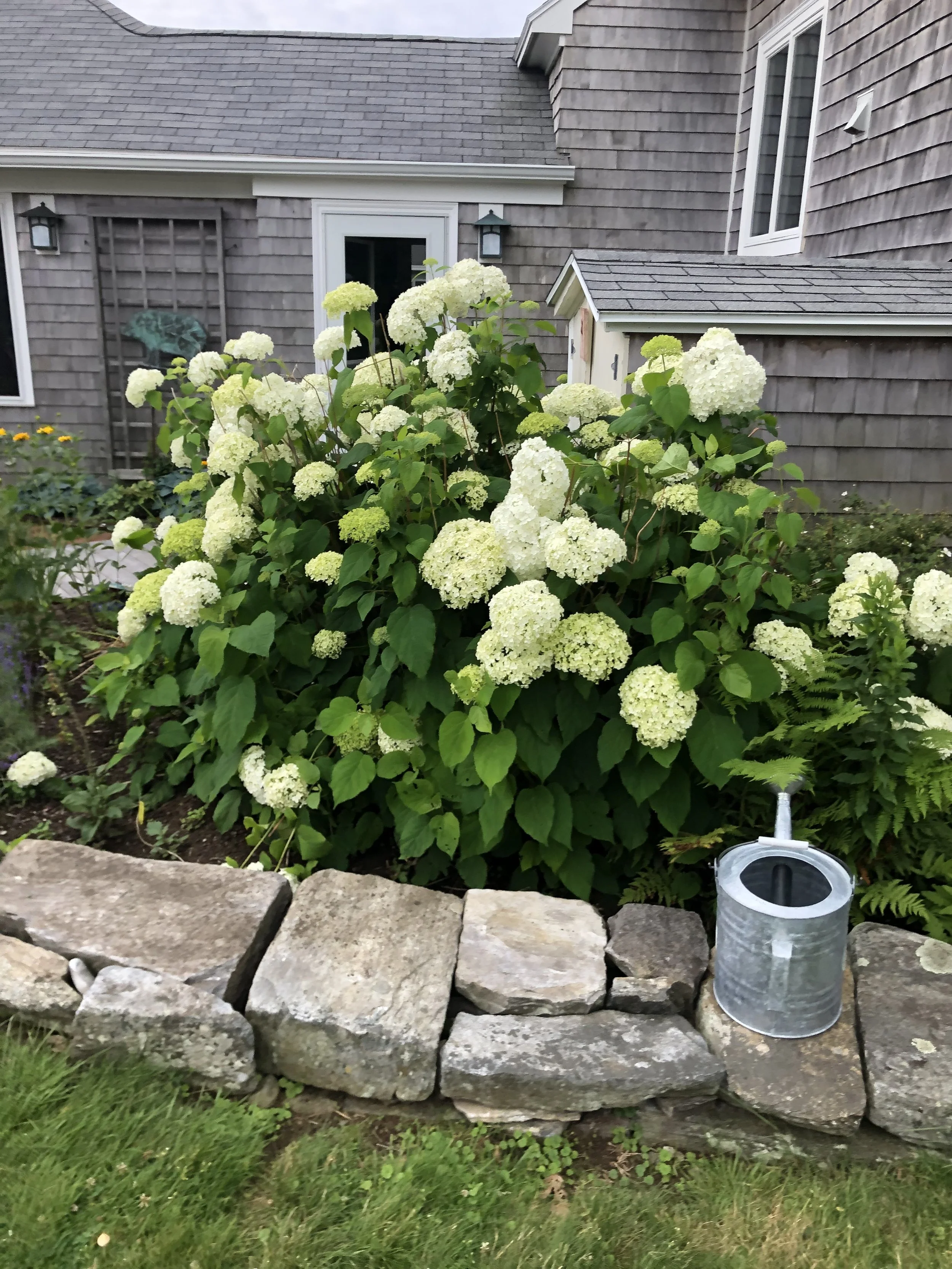 IMG_3626.jpeg