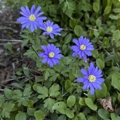 IMG_6752.jpeg