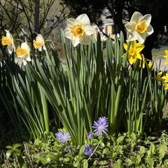 IMG_6753.jpeg