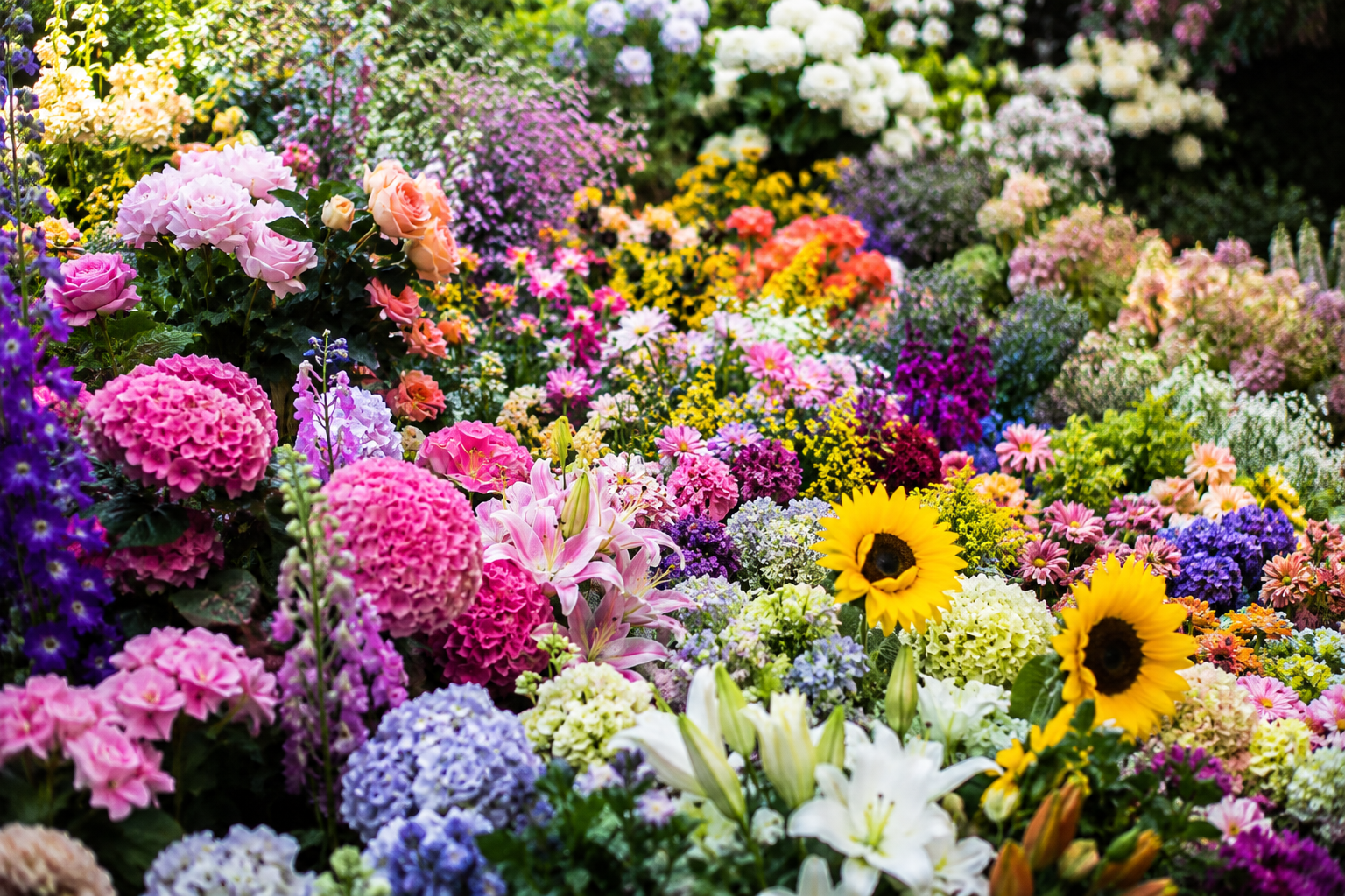QG PLANT | Curadoria botânica e composição estética de espécies vegetais, incluindo as mais variadas flores e plantas arbustivas