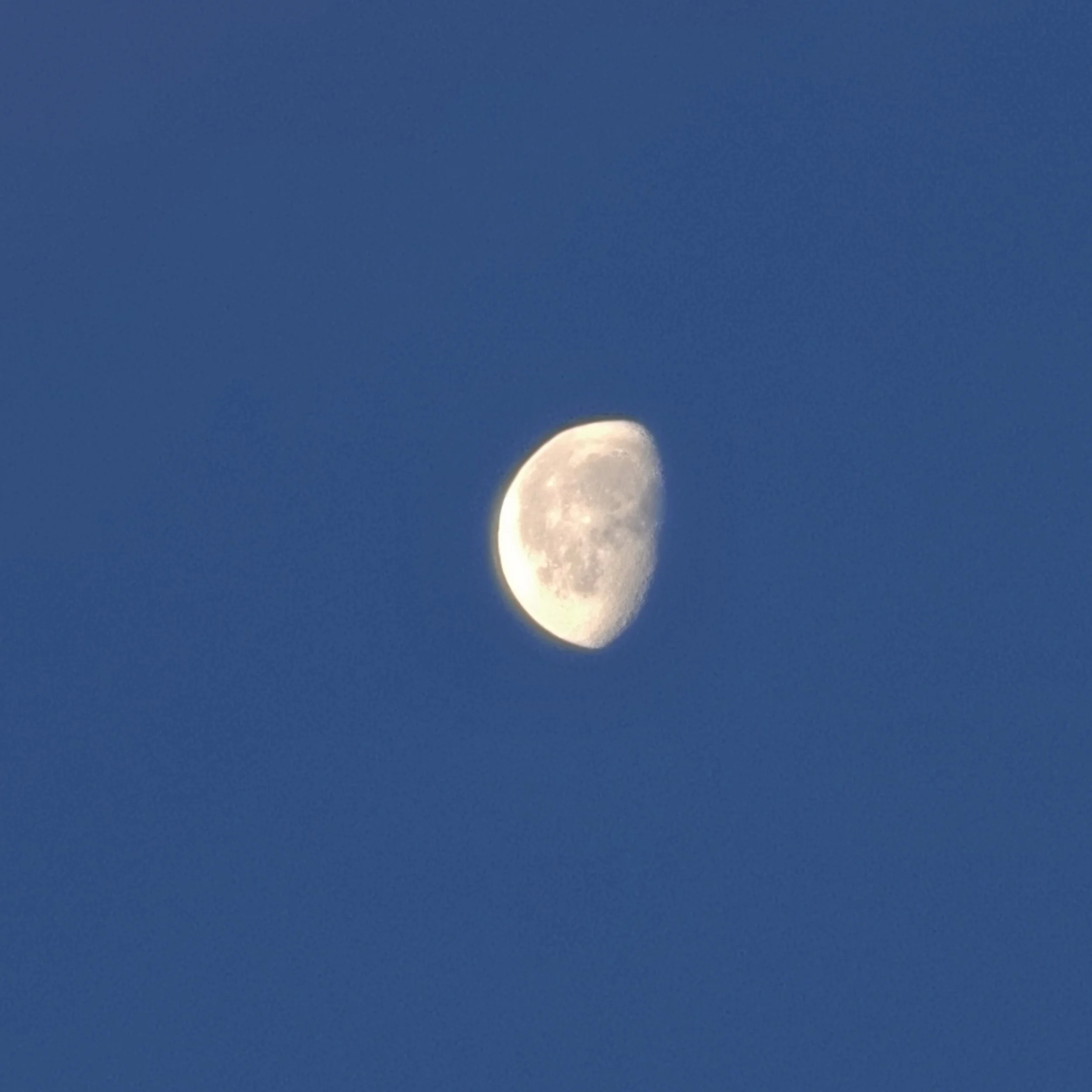 20260507_055444.jpg