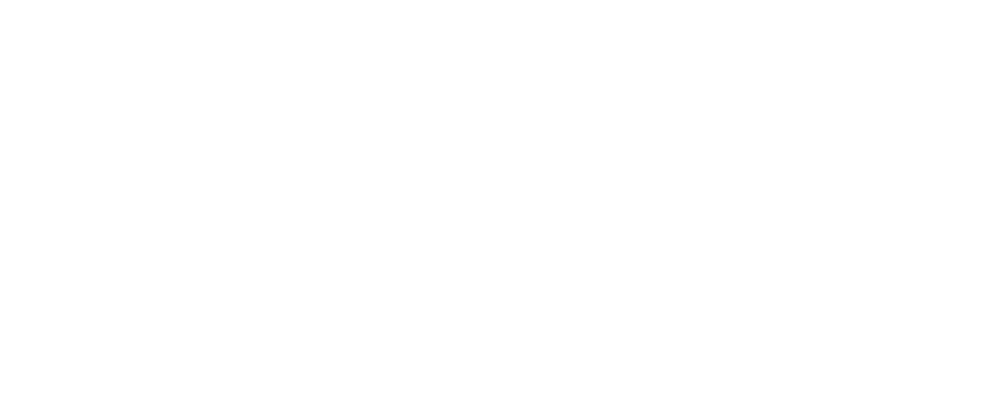 Norwegian Cruise Line.png