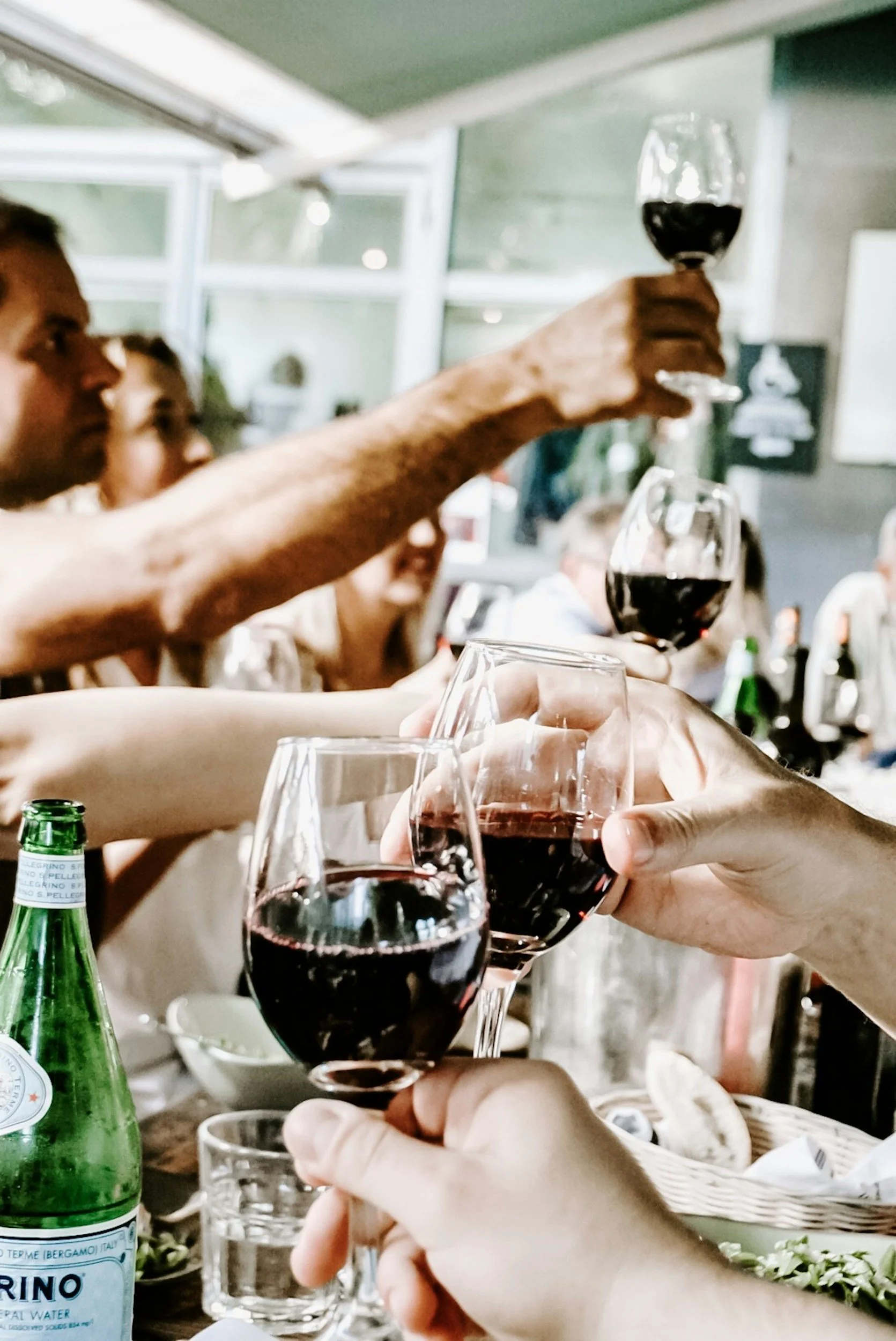 People raising glasses of red wine in a toast at a social gathering in a bright indoor setting.