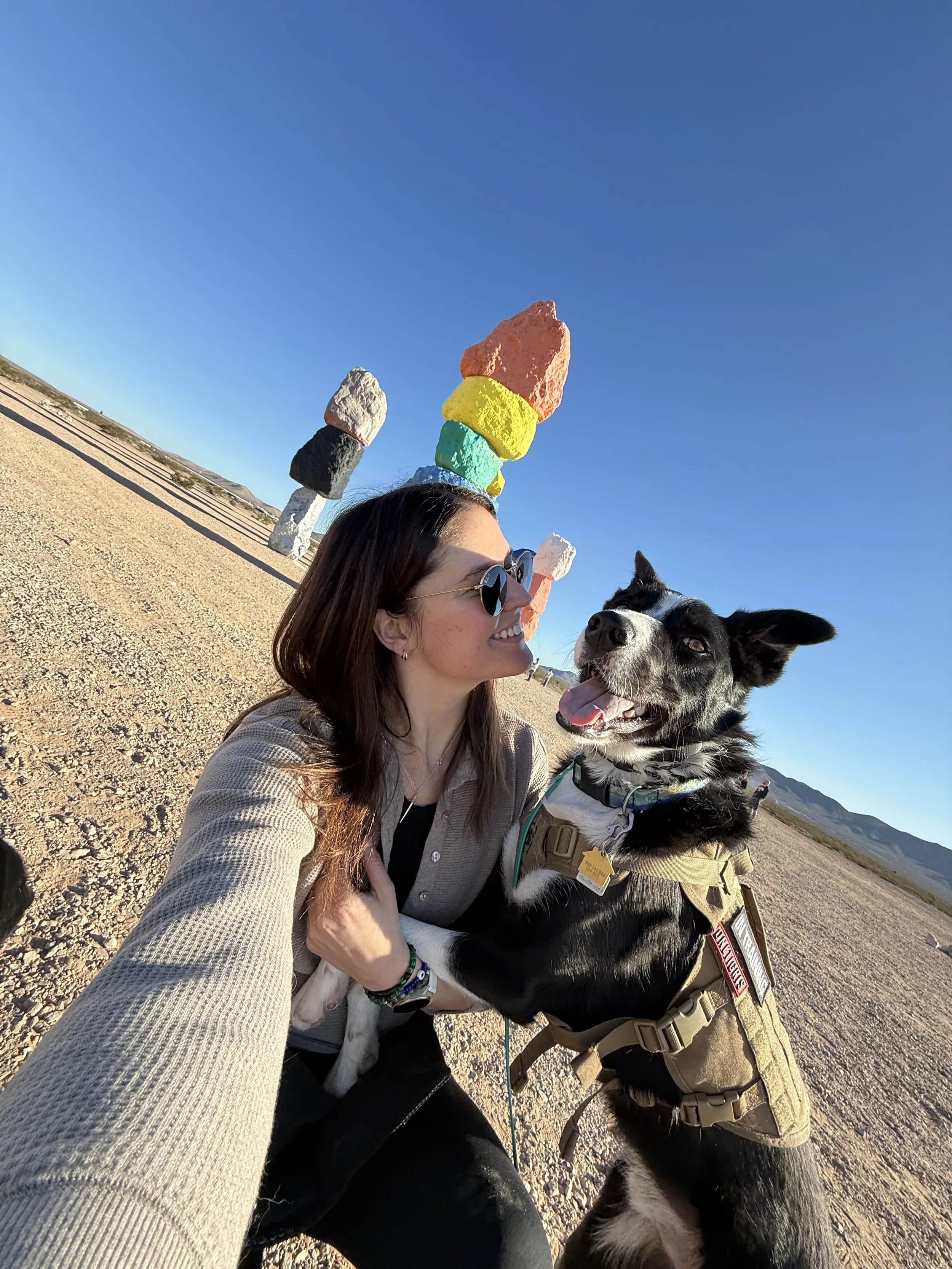 A woman with sunglasses smiling and holding a black and white dog, both facing each other, in a desert landscape with colorful rock formations in the background under a clear blue sky.