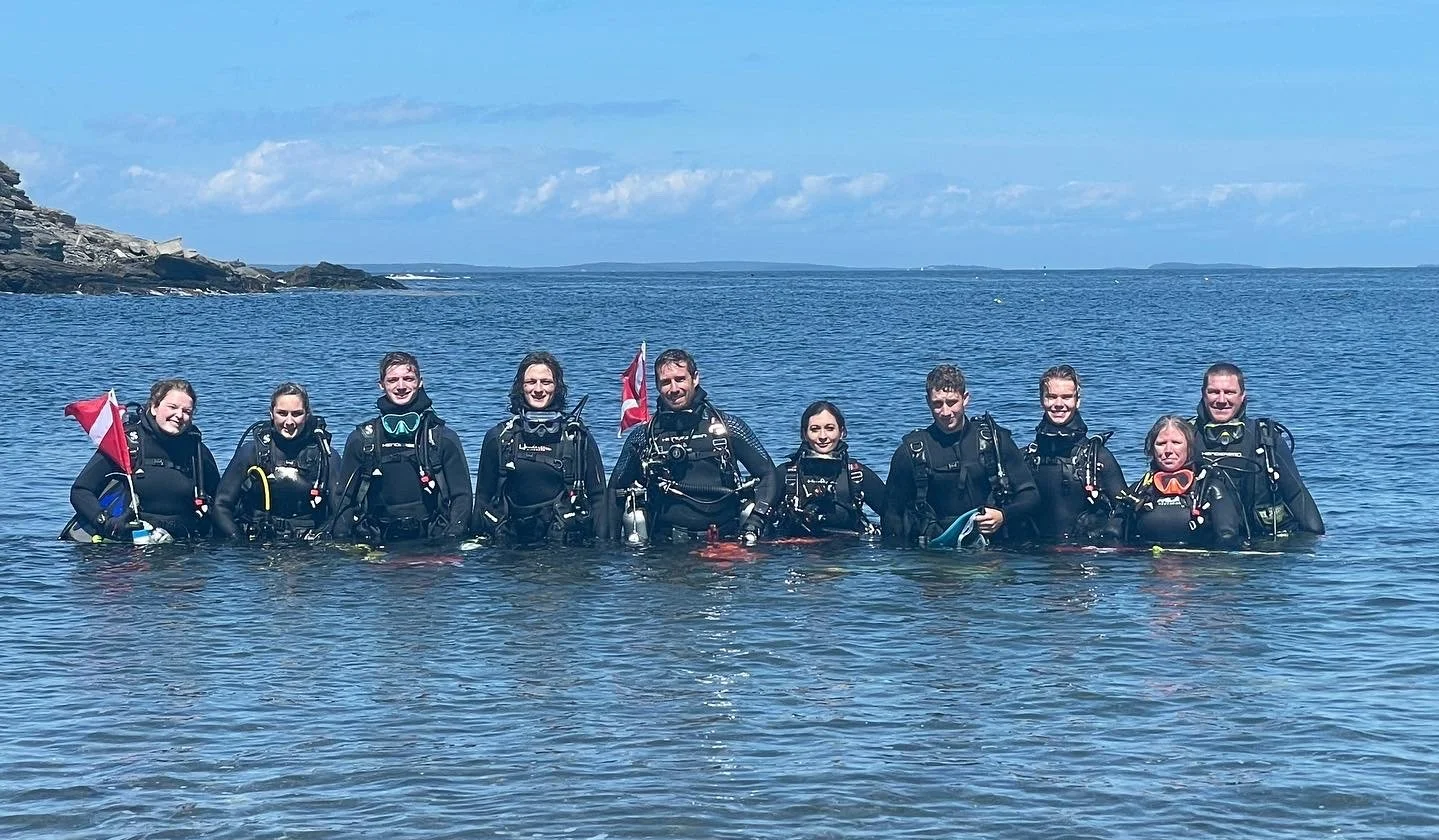 Group of people in scuba diving gear standing in the water near the coast, with a rocky shoreline and ocean in the background on a sunny day.