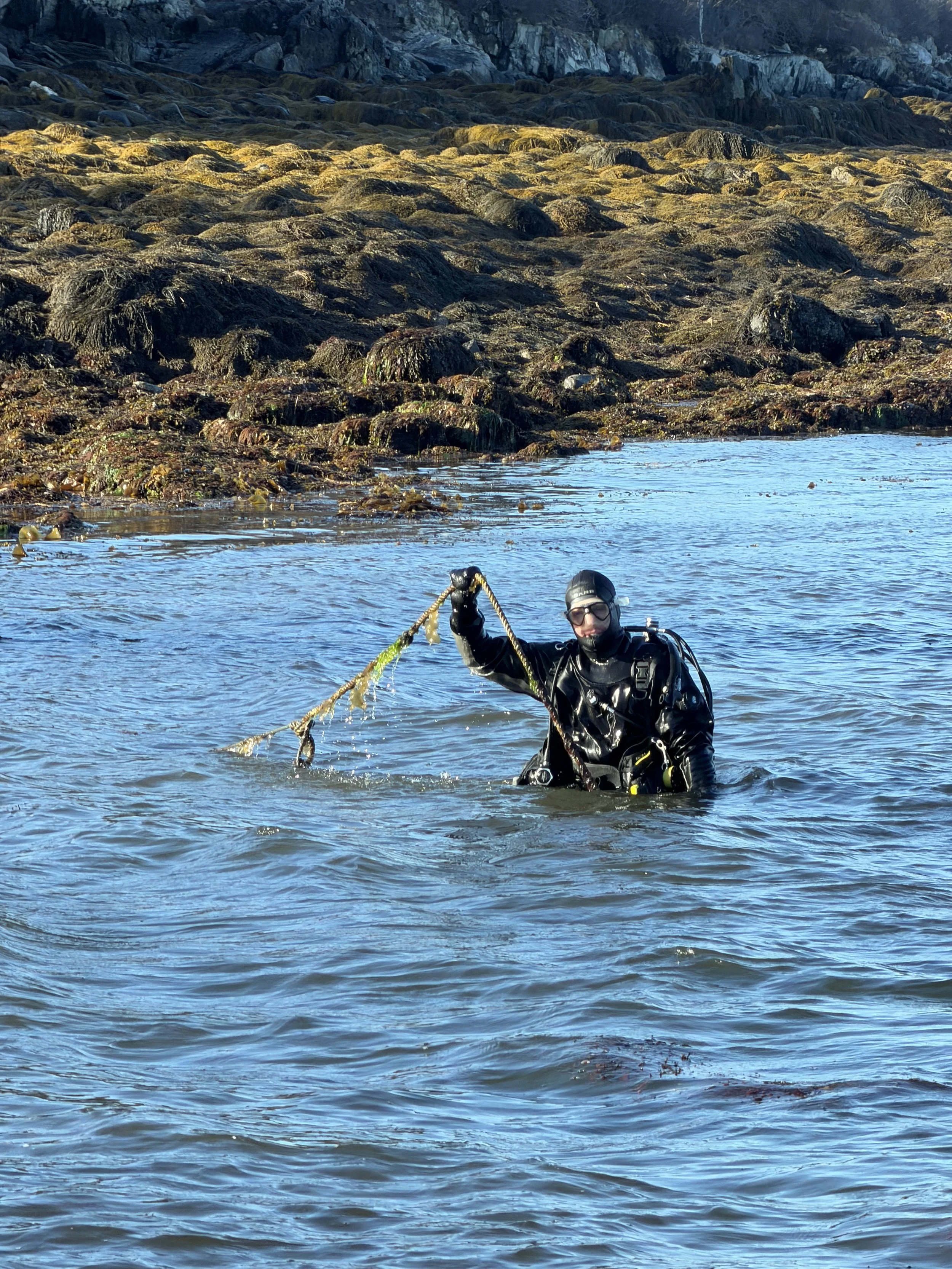 Search and Recovery