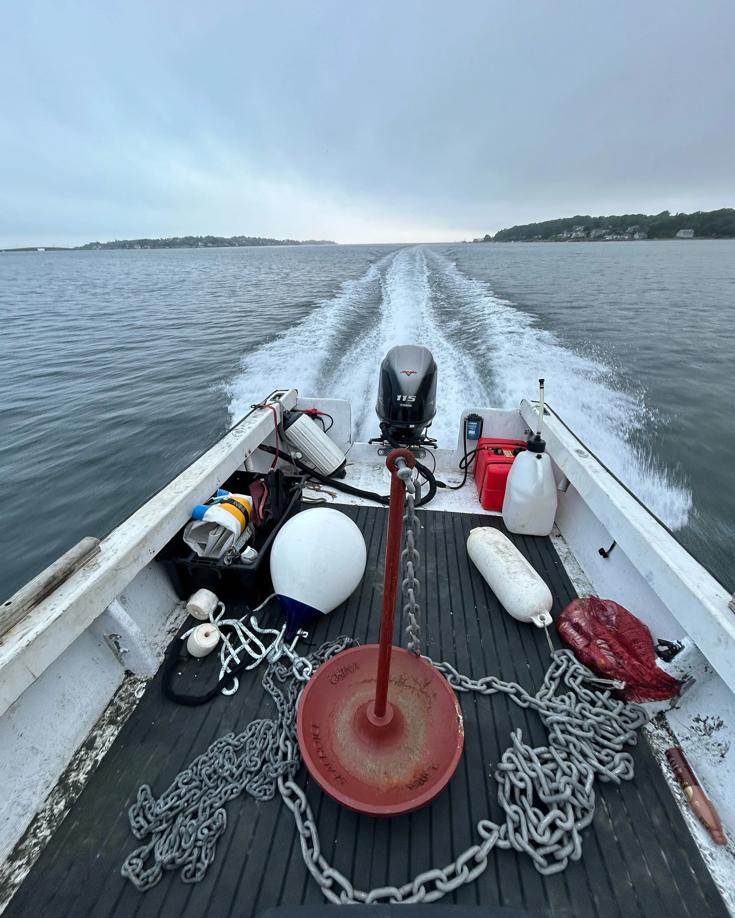 View from the back of a boat showing a red anchor, chains, and various boating equipment on the deck with water and a shoreline with trees and houses in the background.